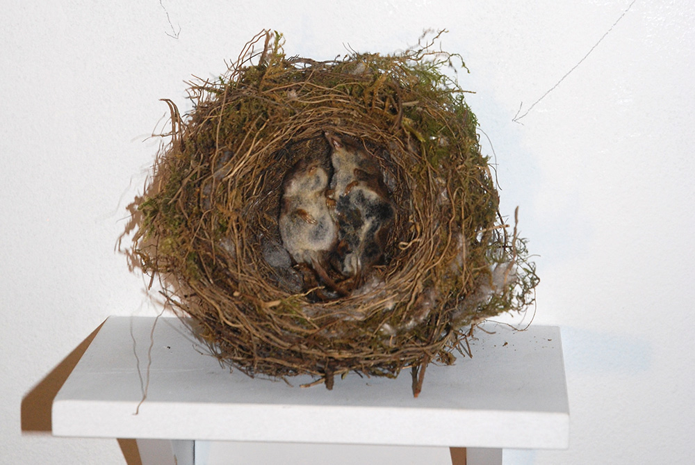 Urbanomic Events: Nature Morte, 06 September 2008, Urbanomic Studio, Falmouth - work by Paul Chaney