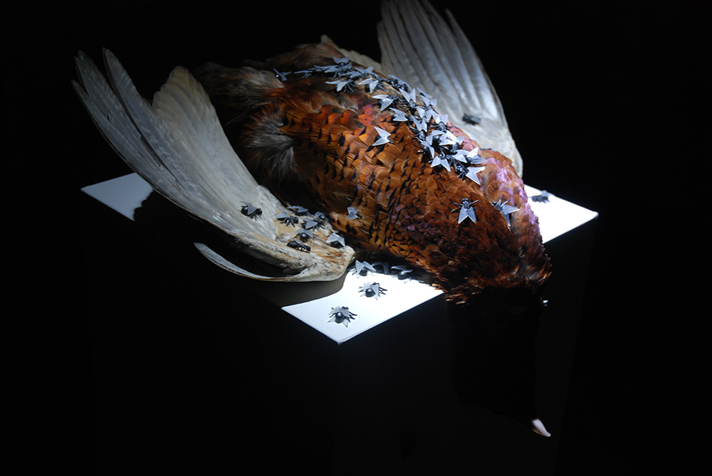 Urbanomic Events: Russell Haswell, Recorded As It Actually Happened, 21 March 2009, Urbanomic Studio, Falmouth