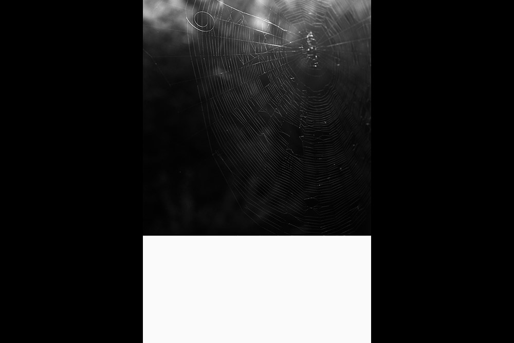 Jean-Luc Moulène, print edition for Urbanomic's 'Collapse VIII: Casino Real' (10 of 10)