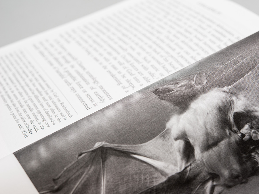'Collapse volume 4: Concept-Horror', published by Urbanomic - detail (Kristen Alvanson)
