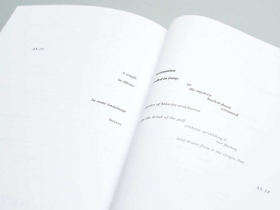 Quentin Meillassoux, 'The Number and the Siren', published by Urbanomic (detail)