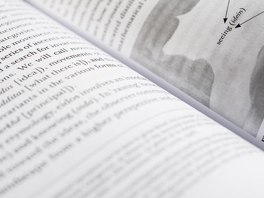 Fernando Zalamea, 'Synthetic Philosophy of Contemporary Mathematics', published by Urbanomic and Sequence Press (detail)
