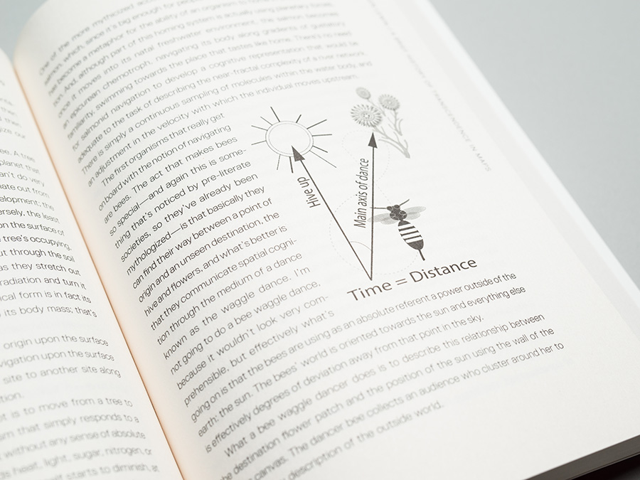 'When Site Lost the Plot', published by Urbanomic (detail)