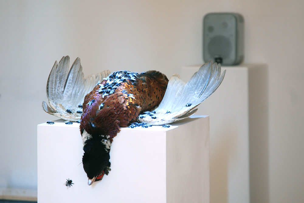 Urbanomic Events: Russell Haswell, Recorded As It Actually Happened, 21 March 2009, Urbanomic Studio, Falmouth