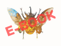 François J. Bonnet – The Infra-World E-Book